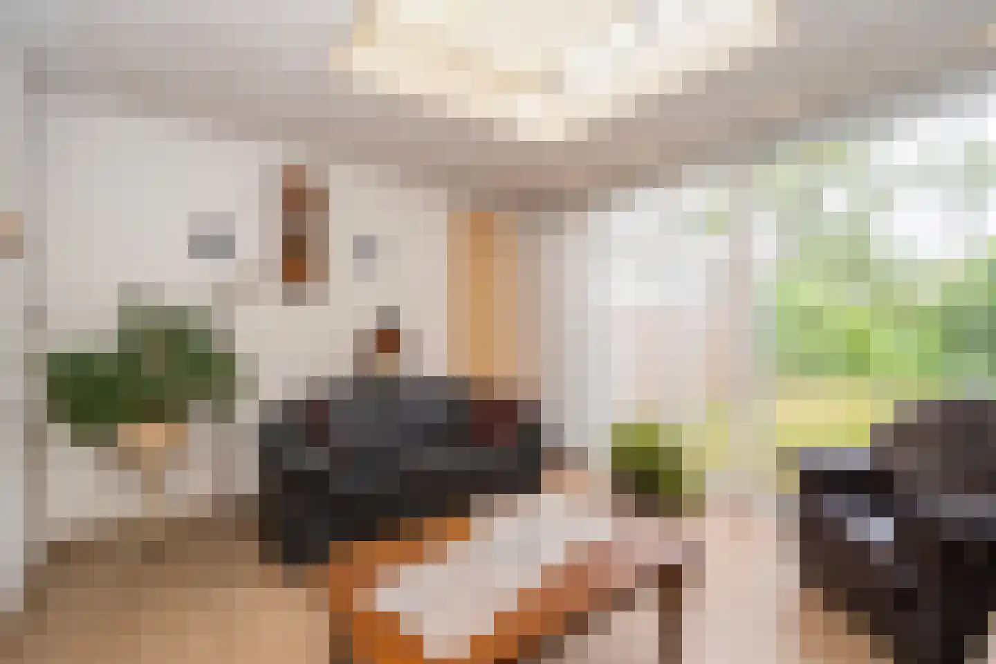 Walstro 3 Sprang-Capelle thumbnail 26
