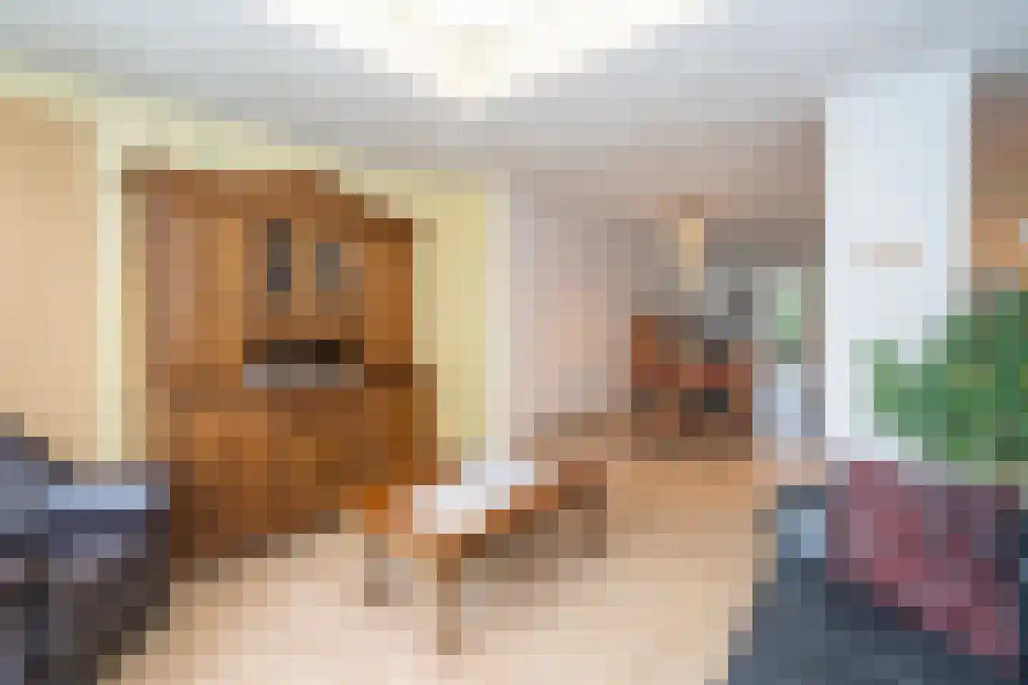 Walstro 3 Sprang-Capelle thumbnail 27