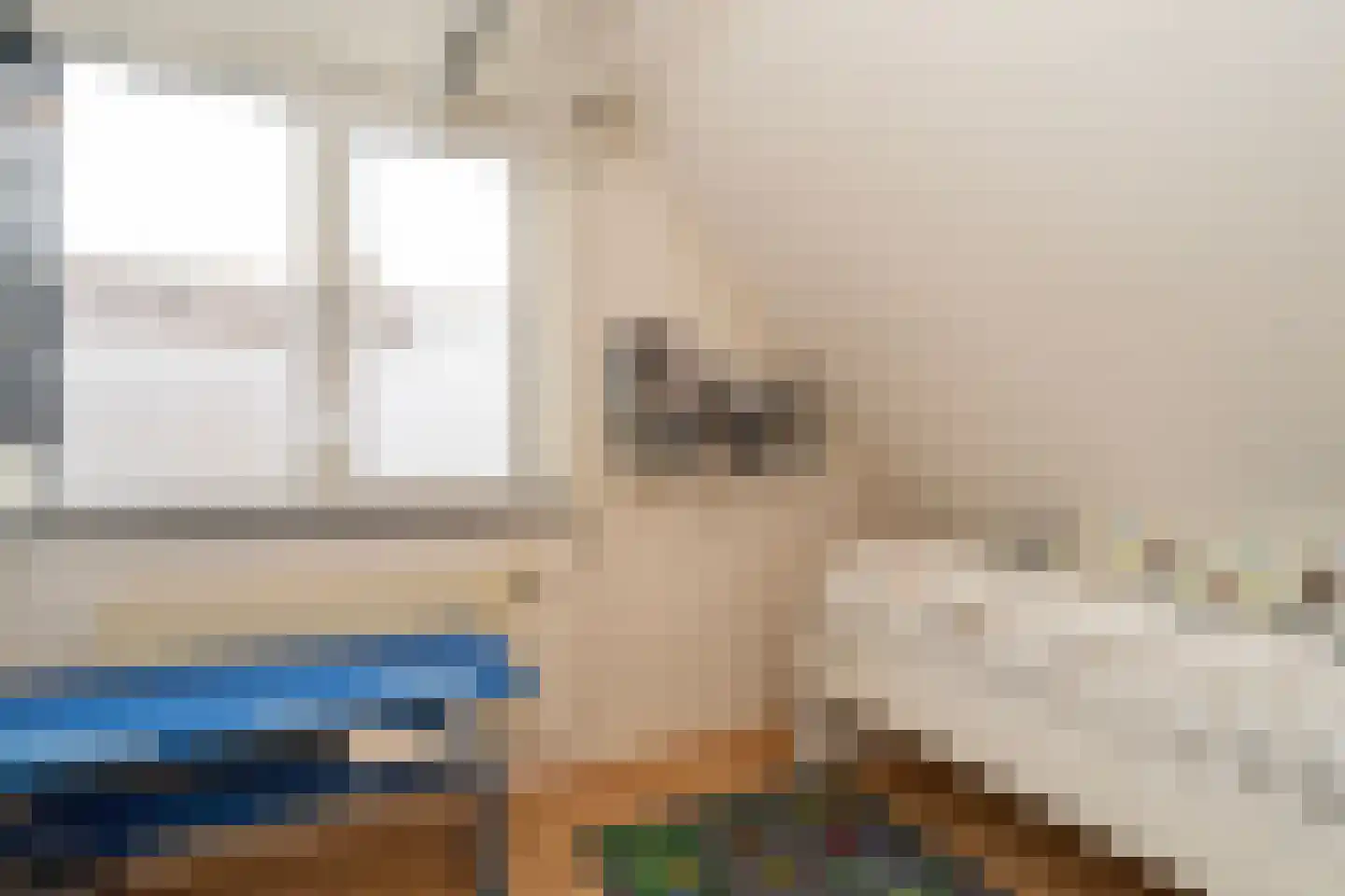 Walstro 3 Sprang-Capelle thumbnail 34