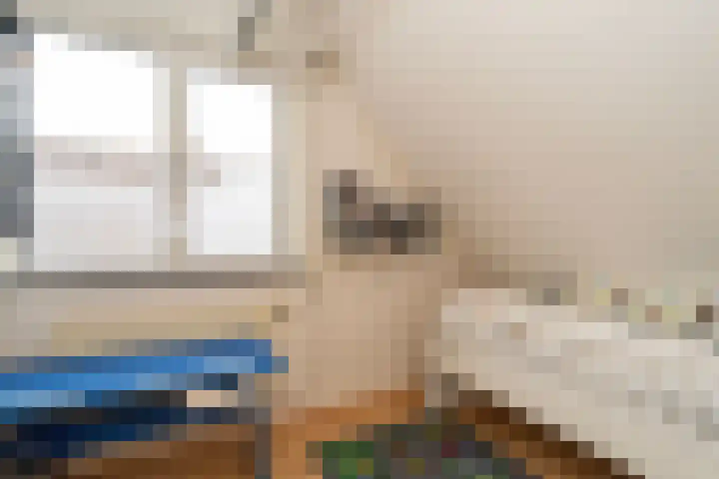 Walstro 3 Sprang-Capelle thumbnail 46