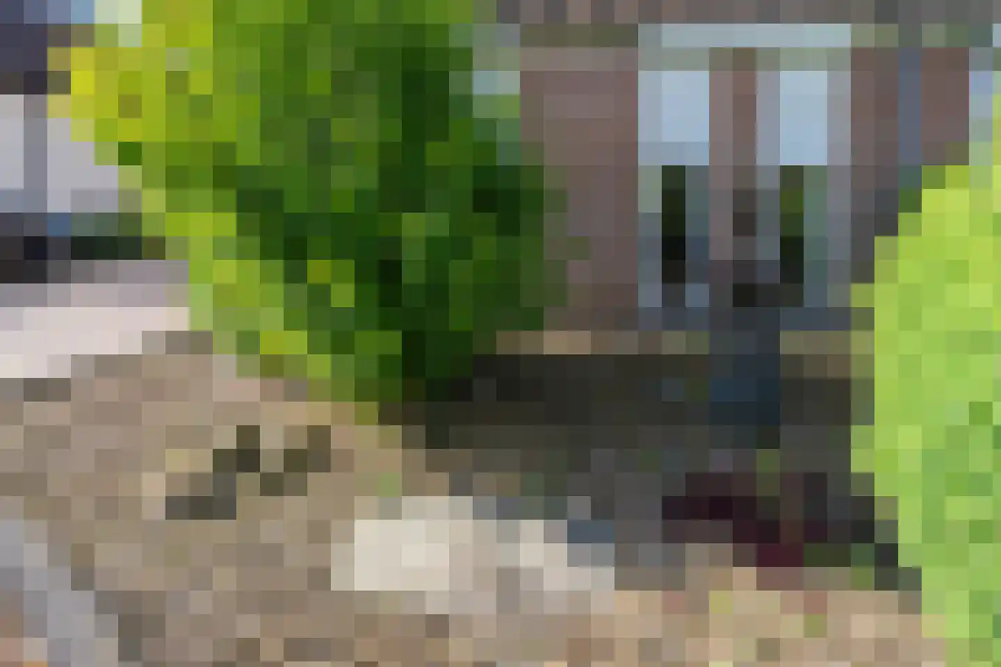 Walstro 3 Sprang-Capelle thumbnail 6