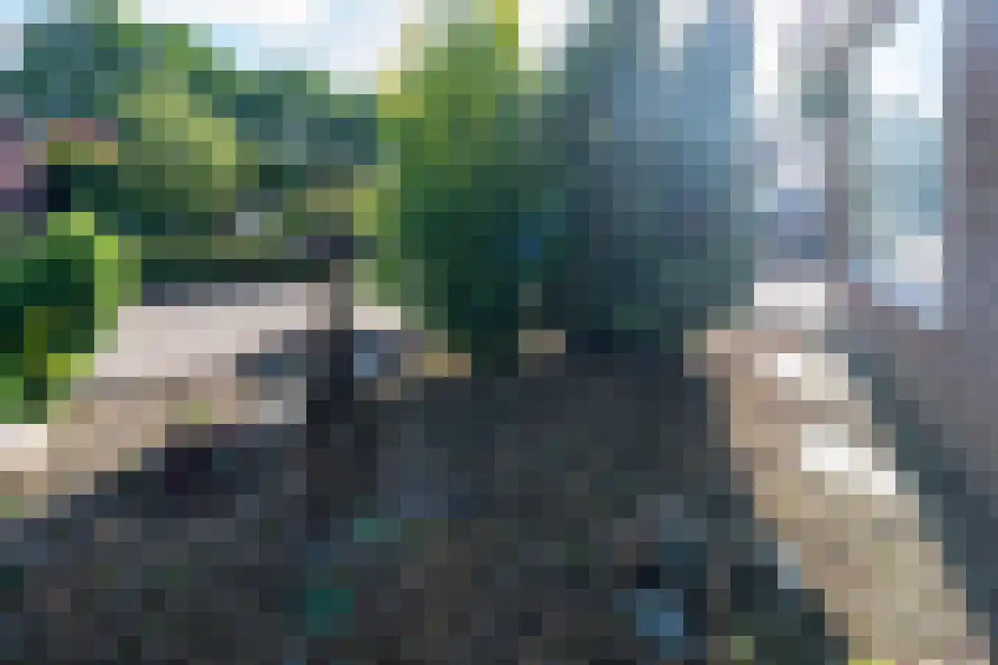 Walstro 3 Sprang-Capelle thumbnail 7