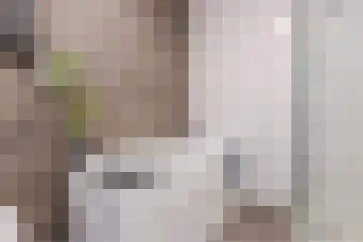 Walstro 34 Cuijk thumbnail 36