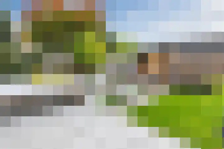 Walstro 34 Cuijk thumbnail 55