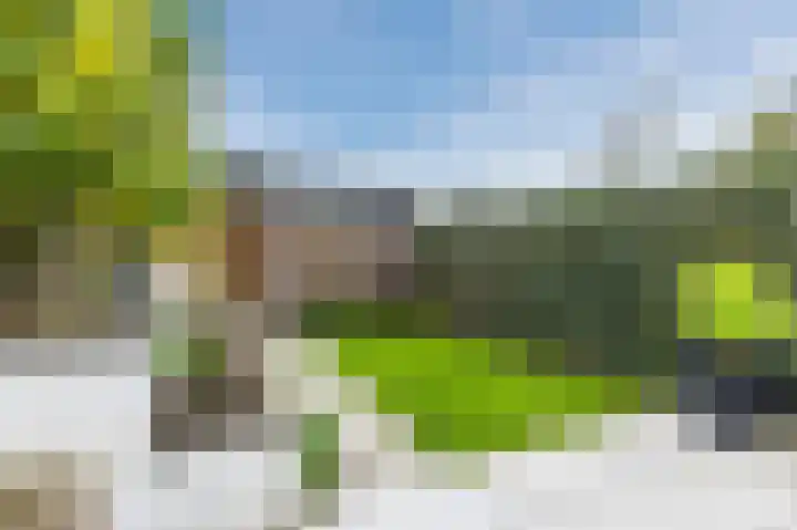 Walstro 34 Cuijk thumbnail 56