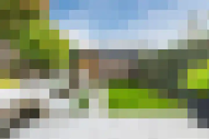 Walstro 34 Cuijk thumbnail 57