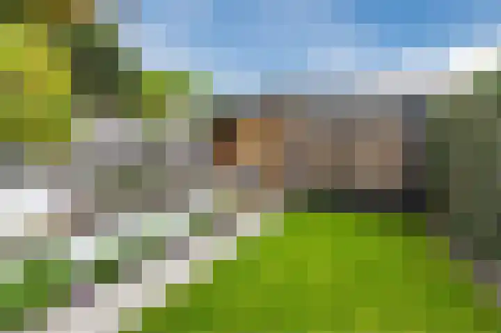 Walstro 34 Cuijk thumbnail 58