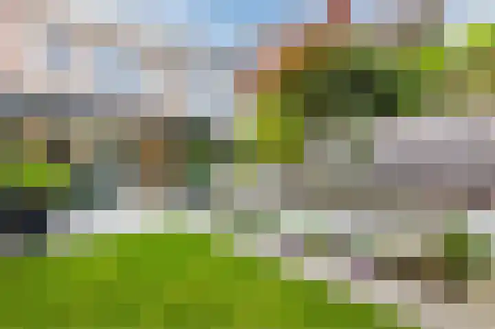Walstro 34 Cuijk thumbnail 60