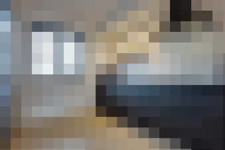 Walstro 38 Beilen thumbnail 11