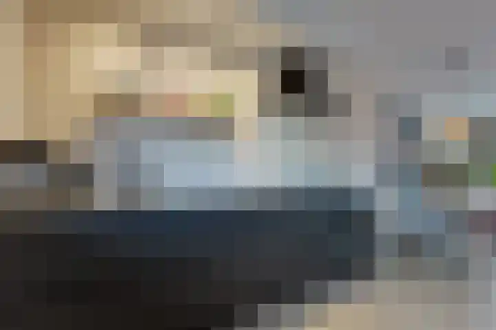 Walstro 38 Beilen thumbnail 12