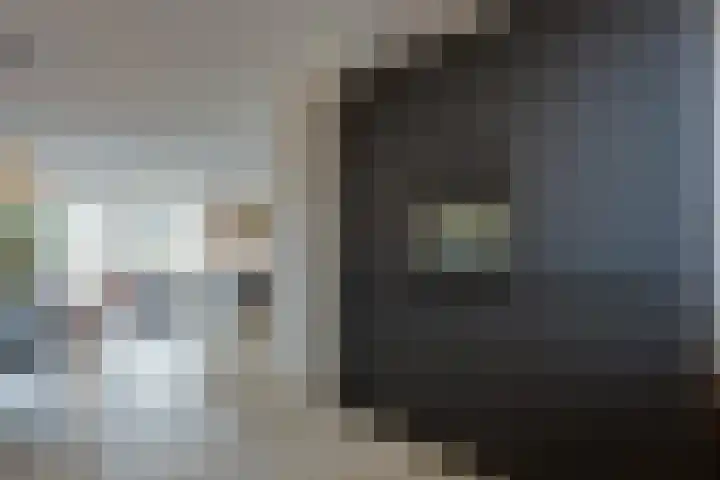 Walstro 38 Beilen thumbnail 13