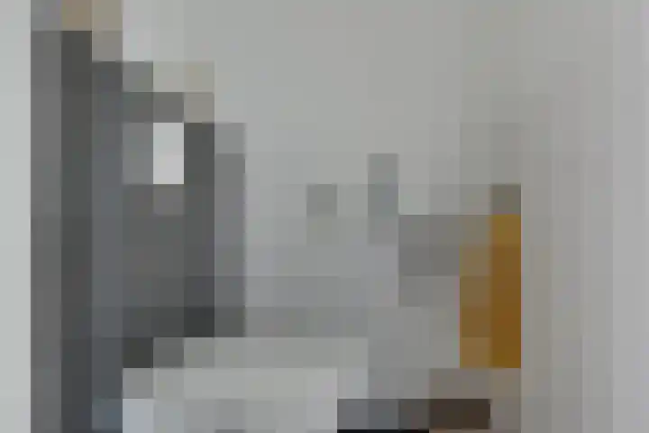 Walstro 38 Beilen thumbnail 15