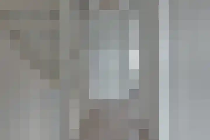 Walstro 38 Beilen thumbnail 17