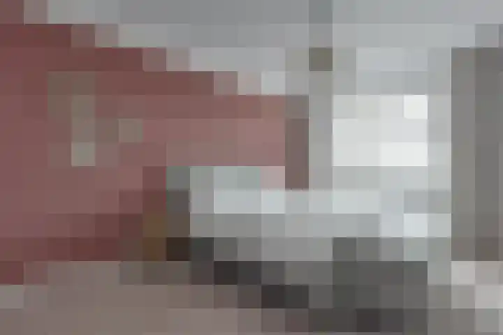 Walstro 38 Beilen thumbnail 20