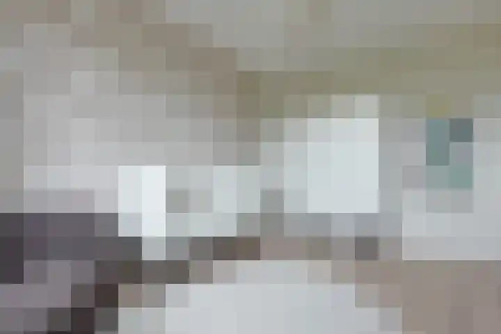 Walstro 38 Beilen thumbnail 23