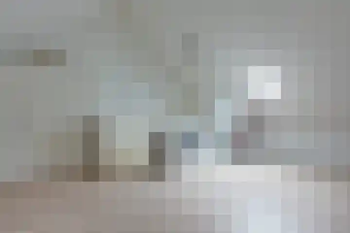 Walstro 38 Beilen thumbnail 27