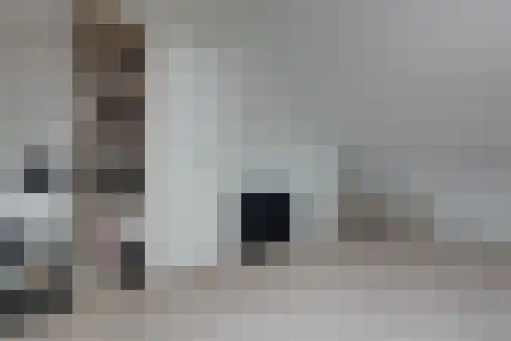 Walstro 38 Beilen thumbnail 28