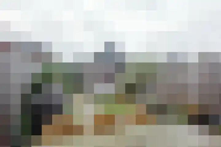Walstro 38 Beilen thumbnail 29