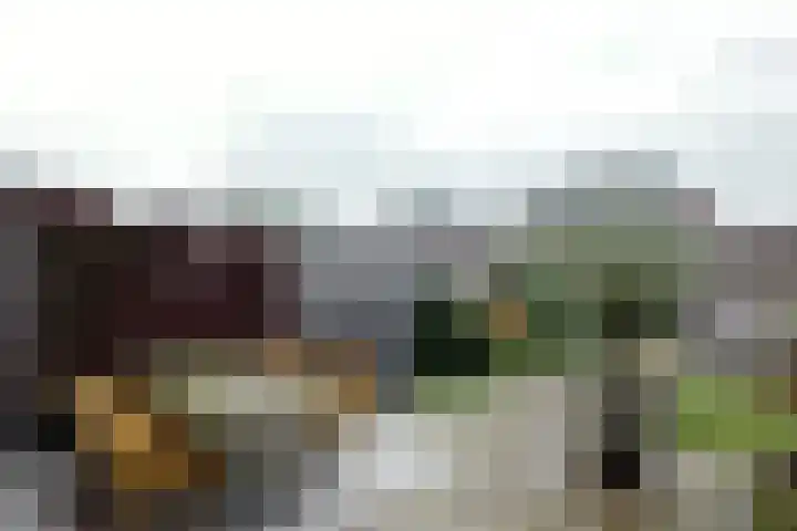 Walstro 38 Beilen thumbnail 30