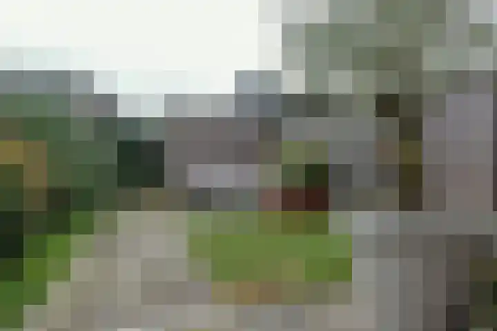 Walstro 38 Beilen thumbnail 31