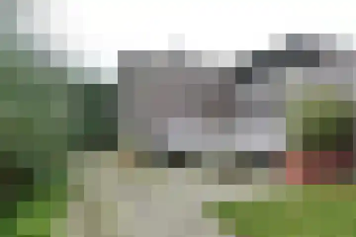 Walstro 38 Beilen thumbnail 32