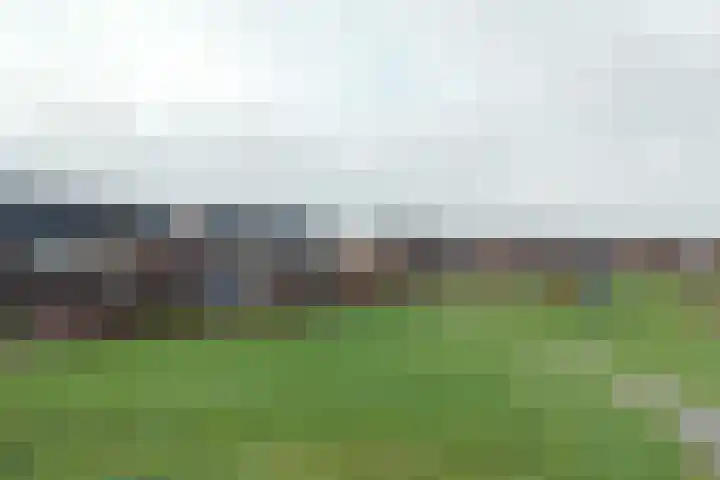 Walstro 38 Beilen thumbnail 4