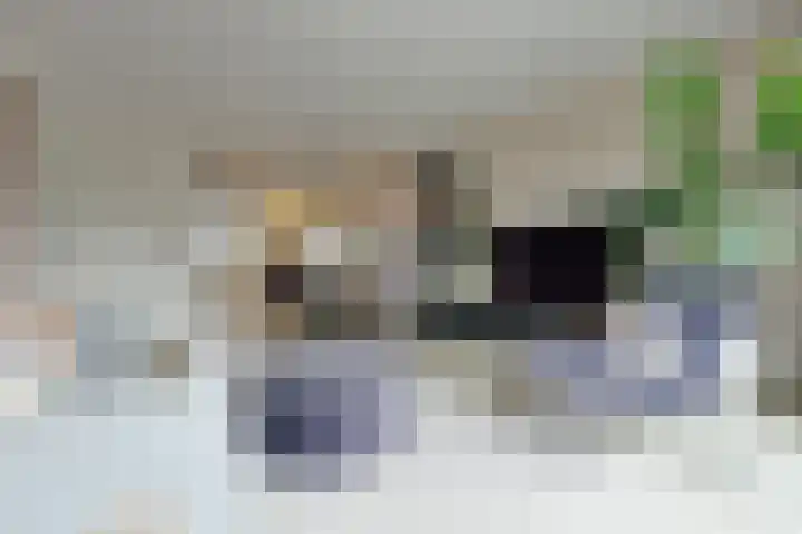 Walstro 38 Beilen thumbnail 8