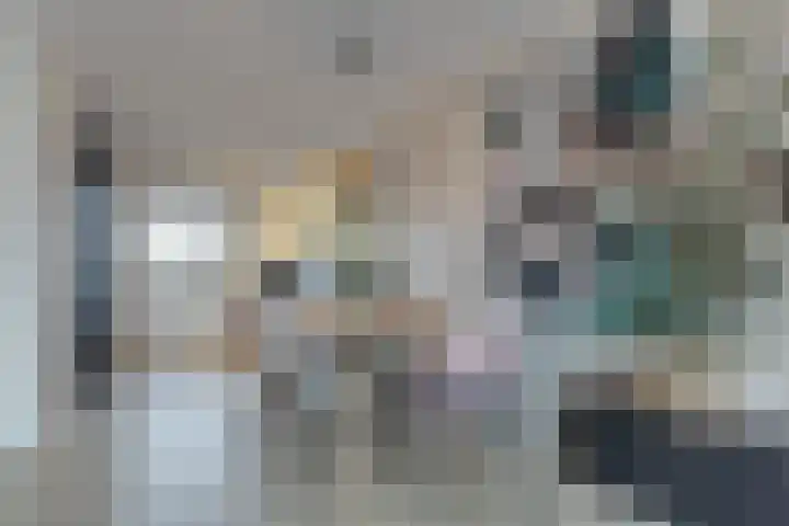 Walstro 38 Beilen thumbnail 9