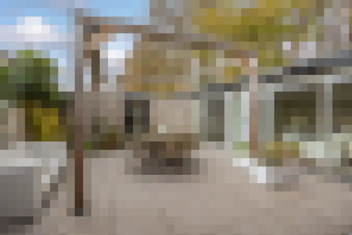 Walstro 38 Leusden thumbnail 14