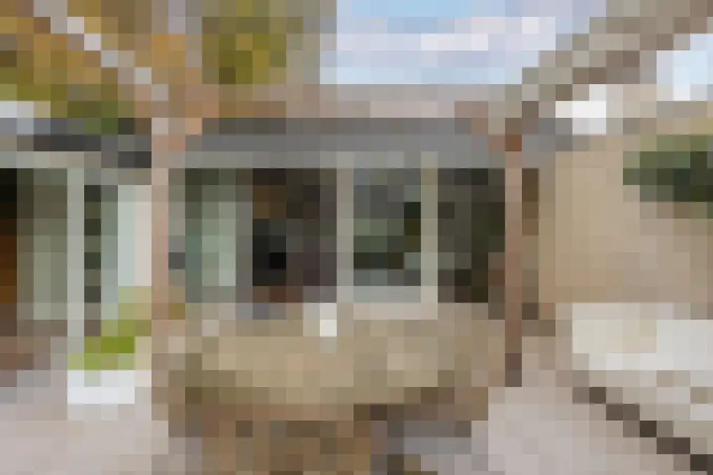 Walstro 38 Leusden thumbnail 15