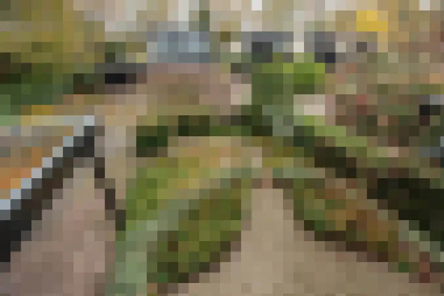Walstro 38 Leusden thumbnail 21
