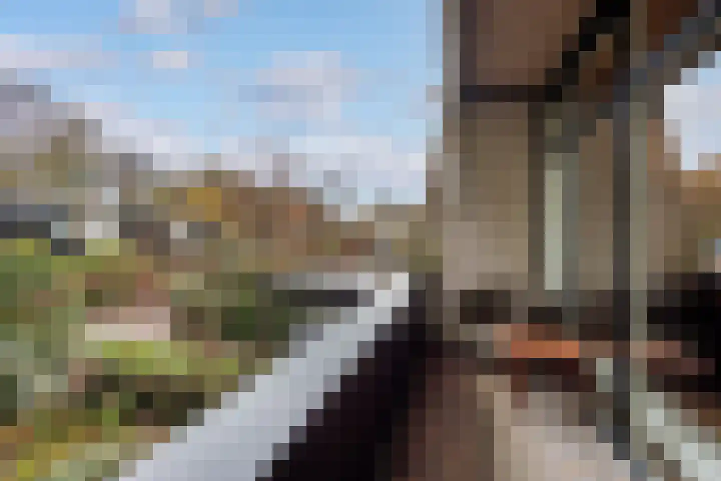 Walstro 38 Leusden thumbnail 22
