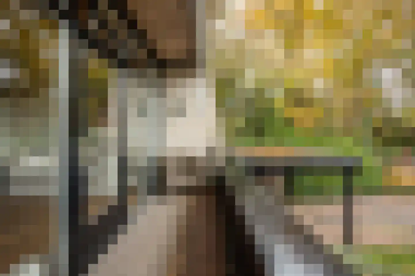 Walstro 38 Leusden thumbnail 23