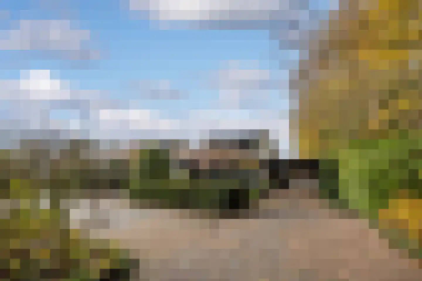 Walstro 38 Leusden thumbnail 30