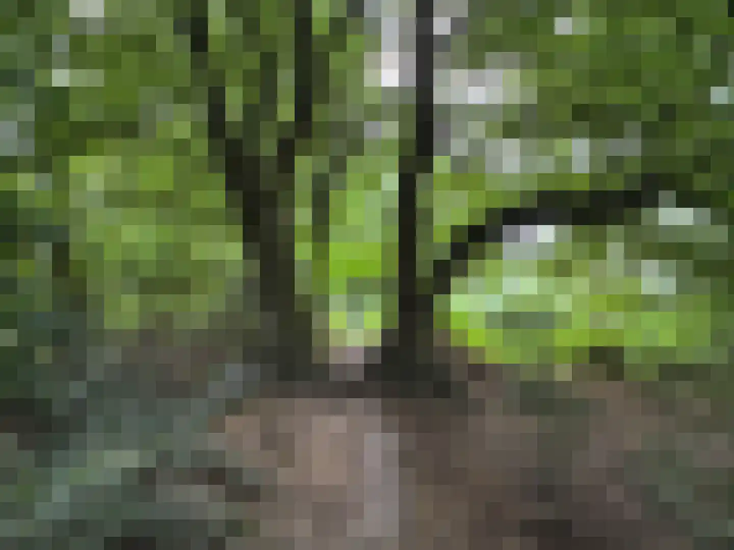 Walstro 38 Leusden thumbnail 31