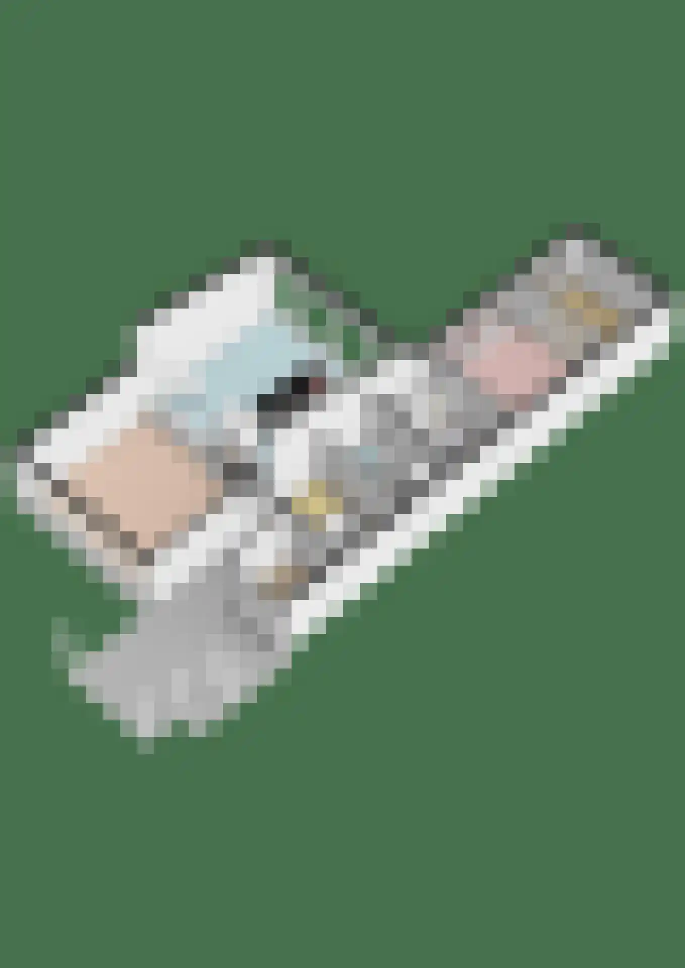 Walstro 38 Leusden thumbnail 35