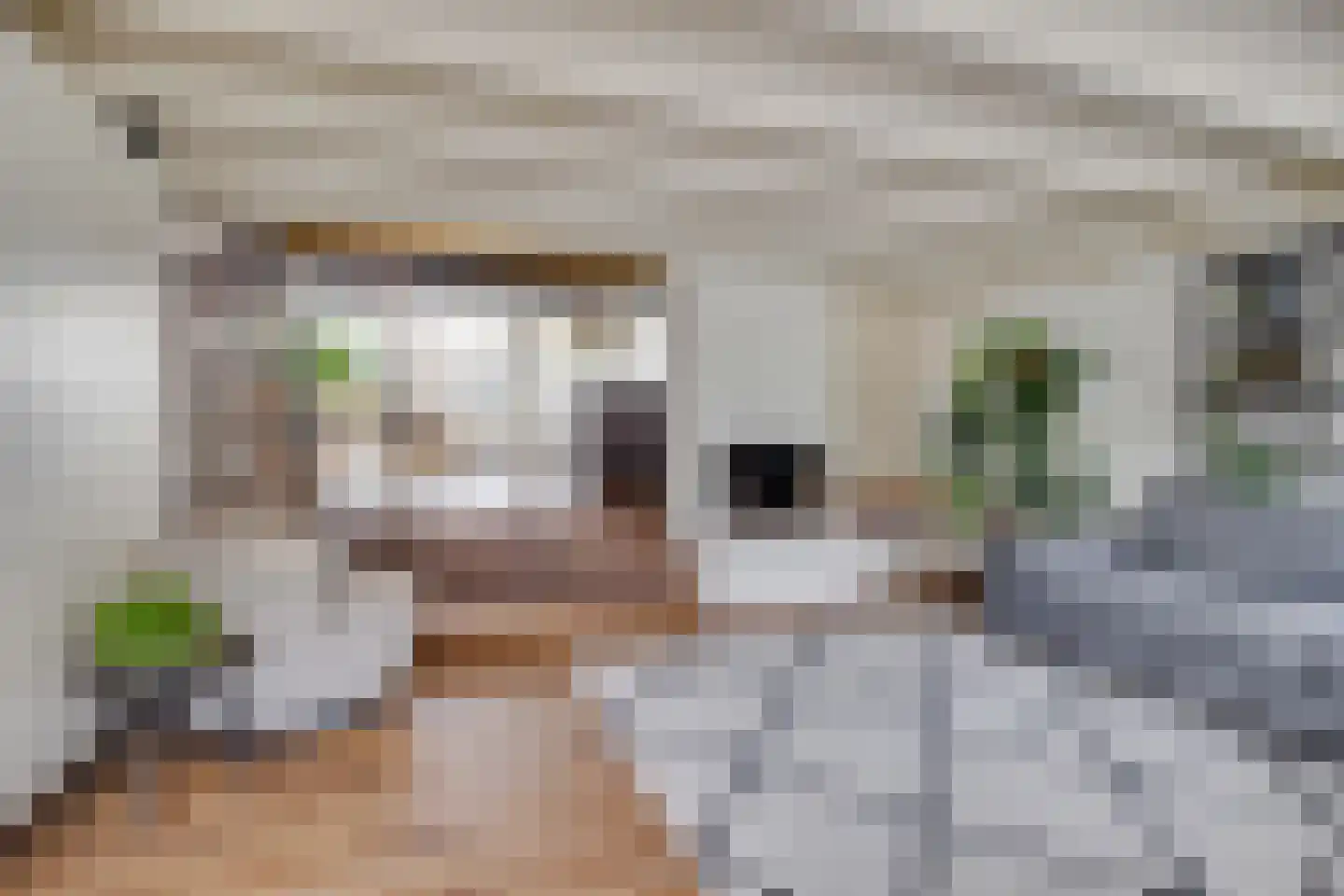 Walstro 38 Leusden thumbnail 6