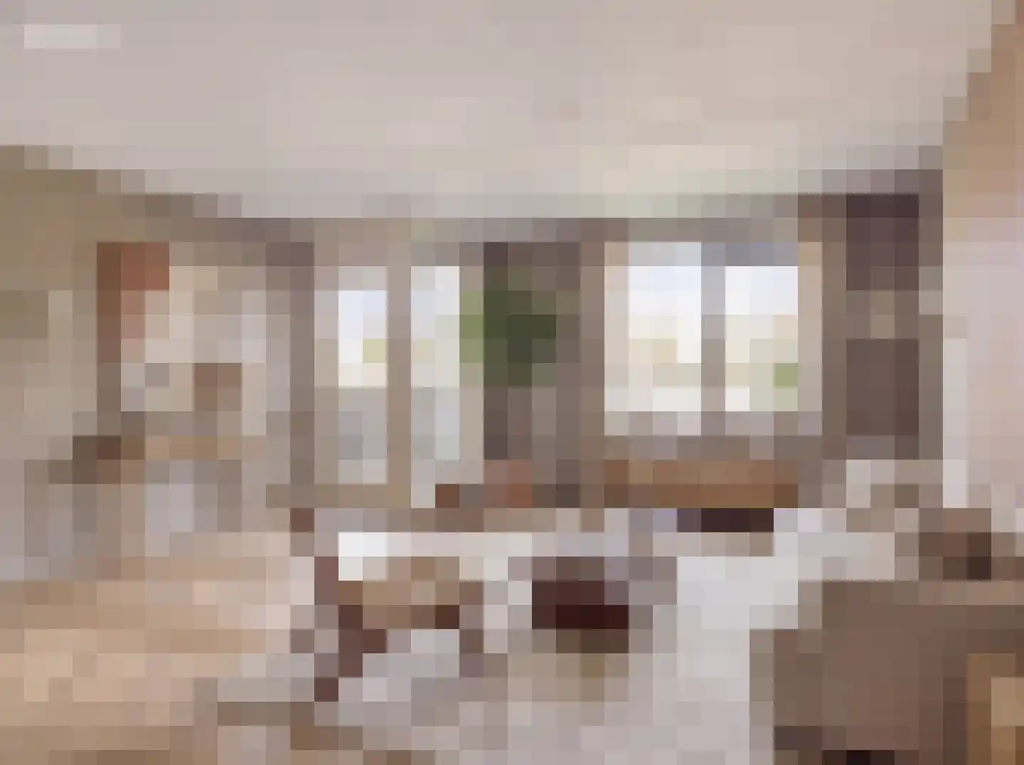 Walstro 4 Cuijk thumbnail 25