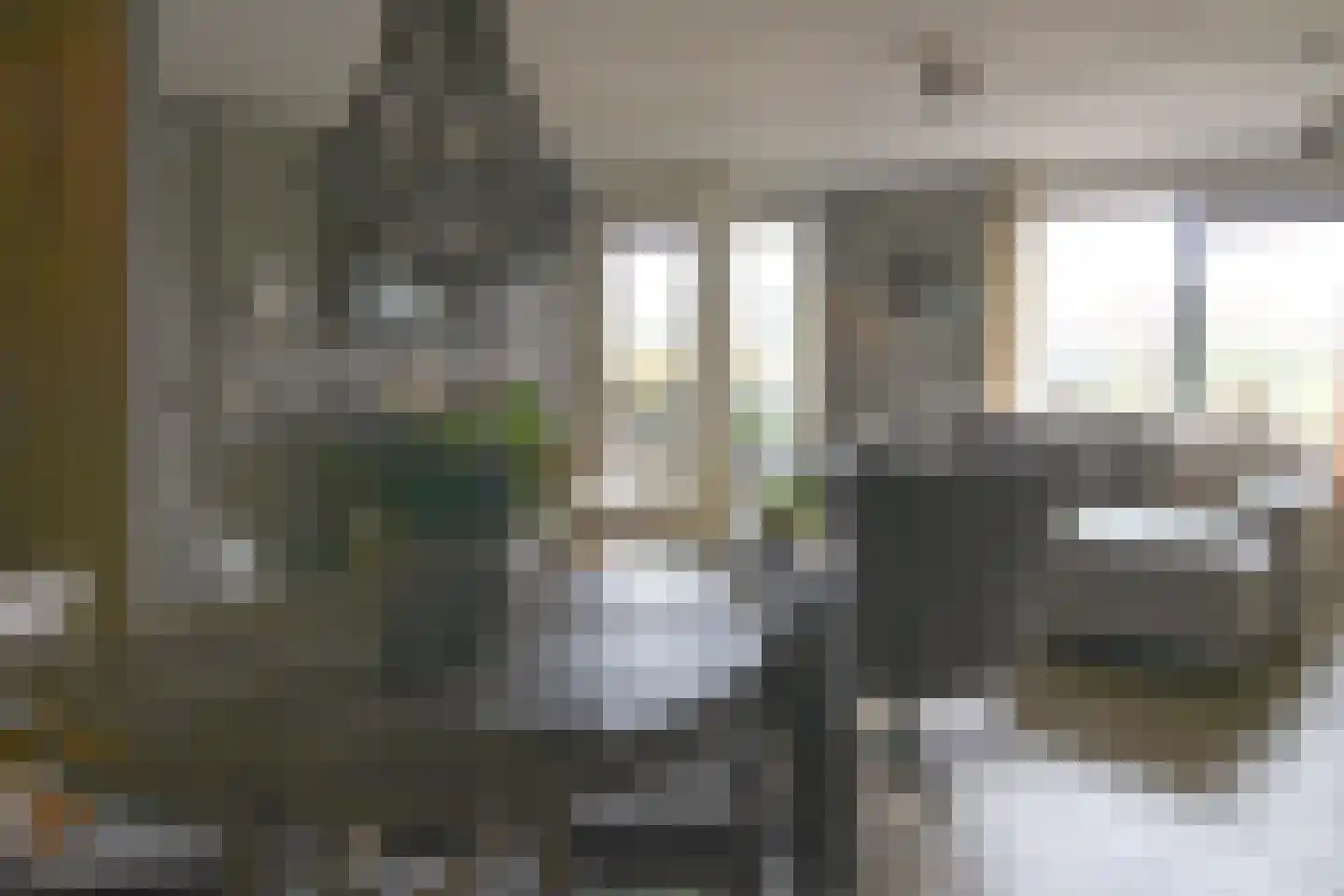 Walstro 4 Cuijk thumbnail 29