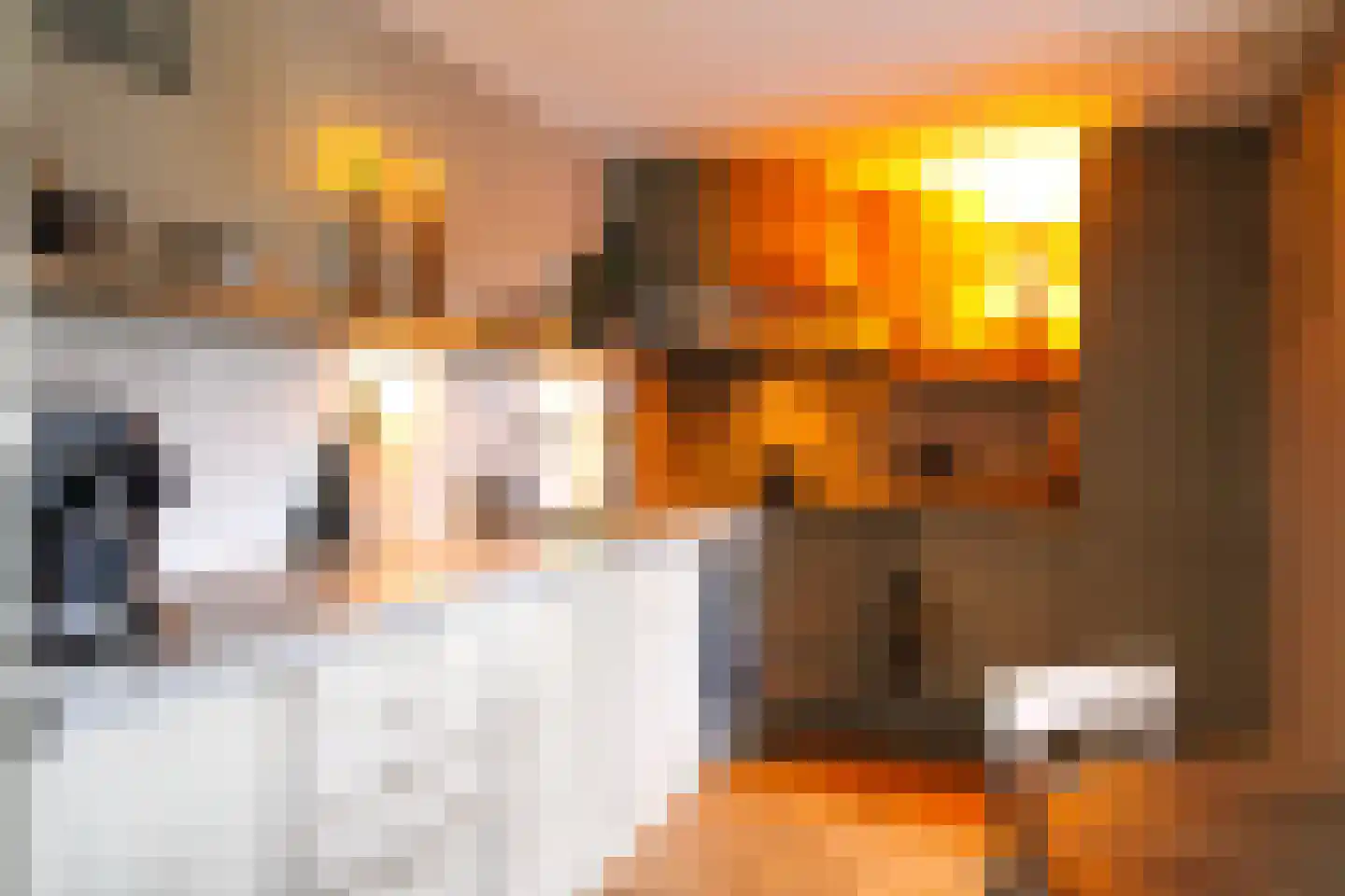 Walstro 4 Cuijk thumbnail 30