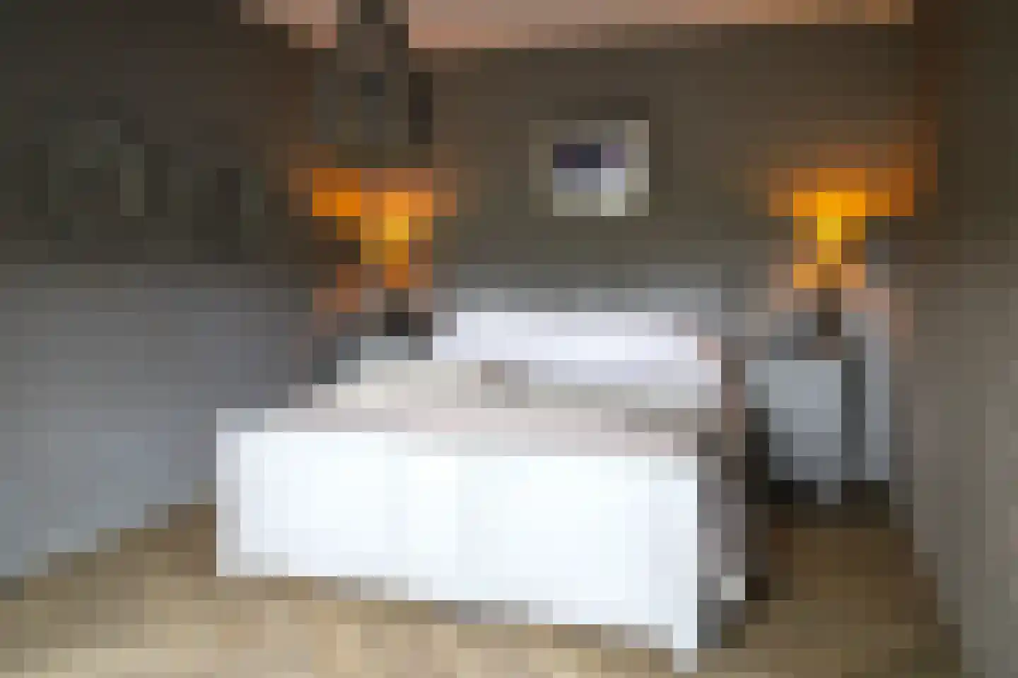 Walstro 4 Cuijk thumbnail 35
