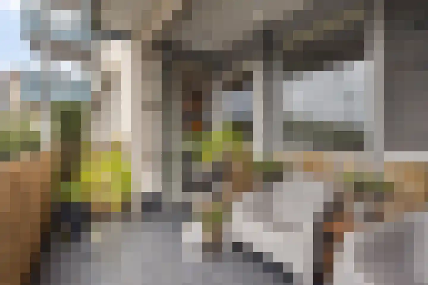 Walstro 4 Cuijk thumbnail 4