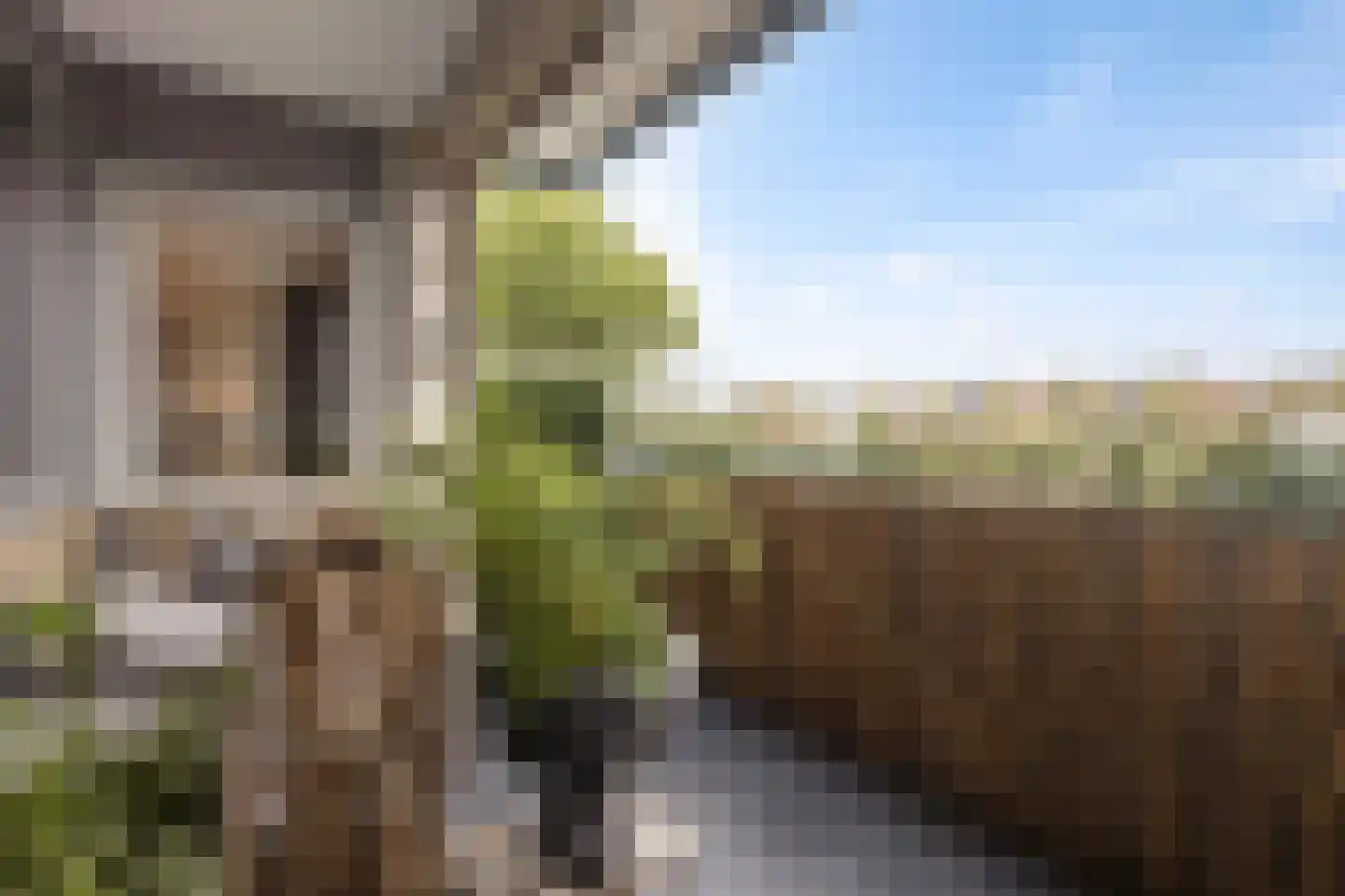 Walstro 4 Cuijk thumbnail 40