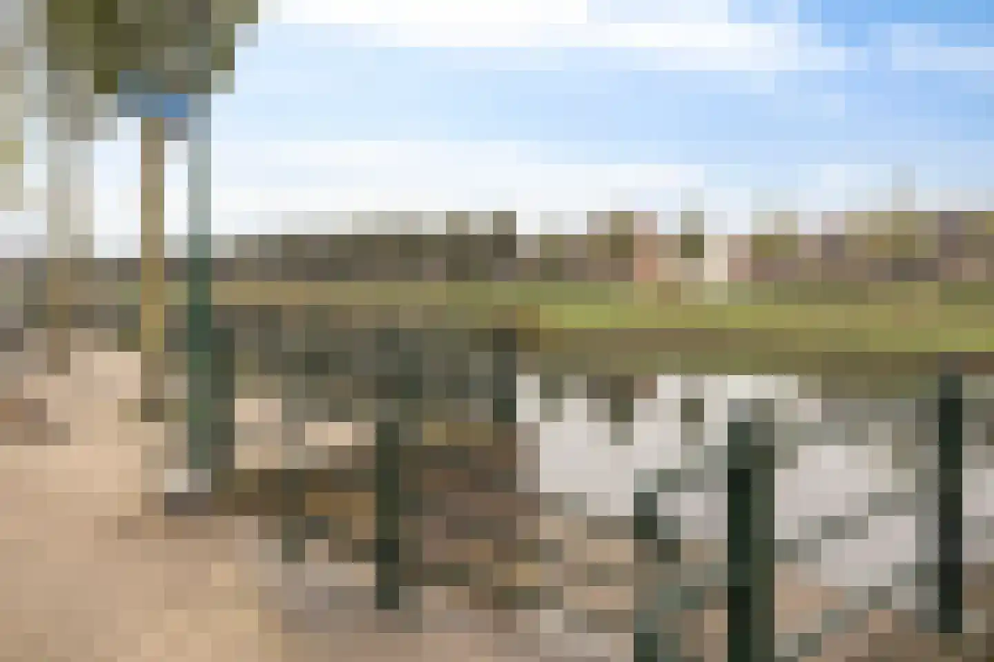 Walstro 4 Cuijk thumbnail 41