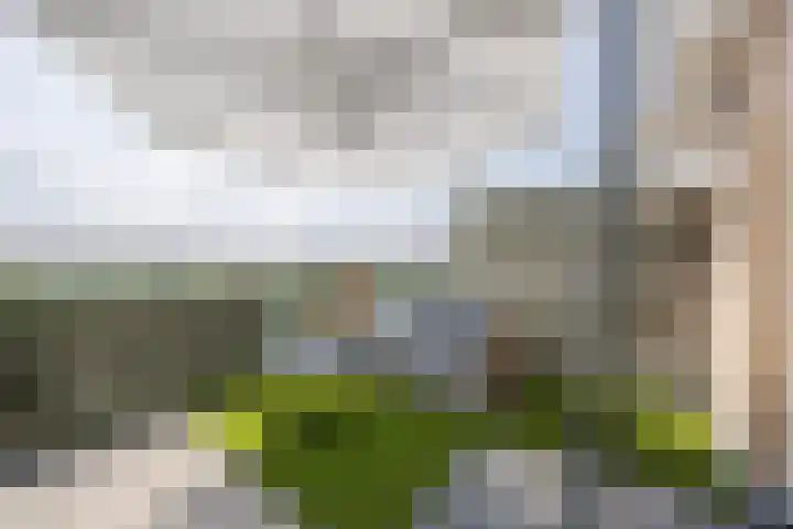 Walstro 41 Cuijk thumbnail 26
