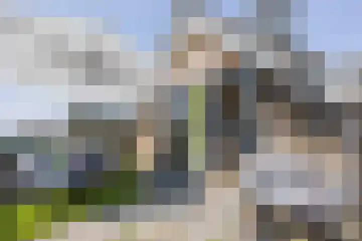 Walstro 41 Cuijk thumbnail 27