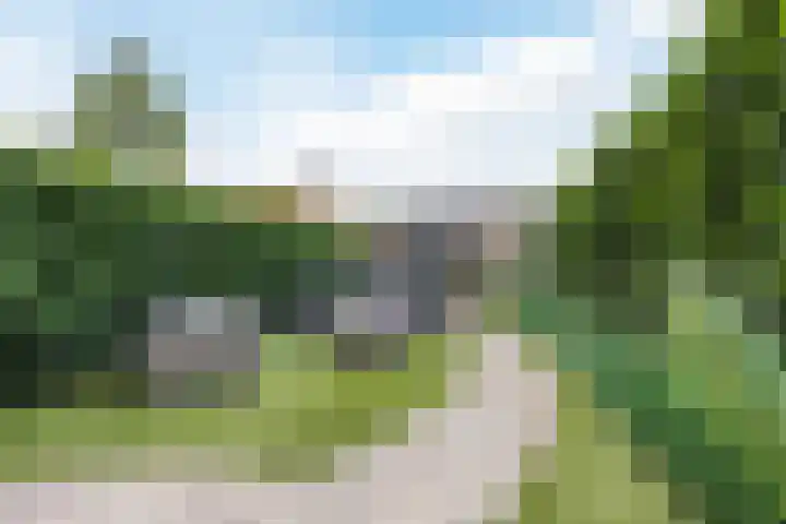 Walstro 41 Cuijk thumbnail 29