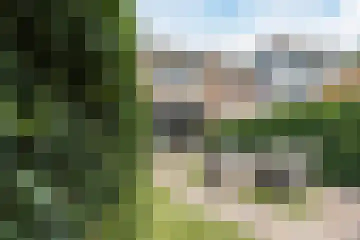 Walstro 41 Cuijk thumbnail 31