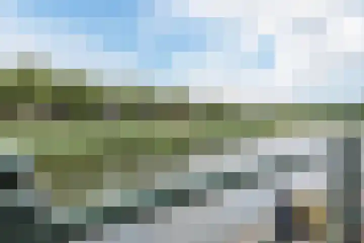 Walstro 41 Cuijk thumbnail 34