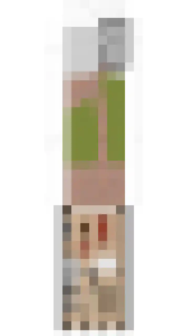 Walstro 41 Cuijk thumbnail 35